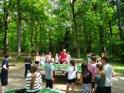 Foto des Albums: Klassenfahrt 4b