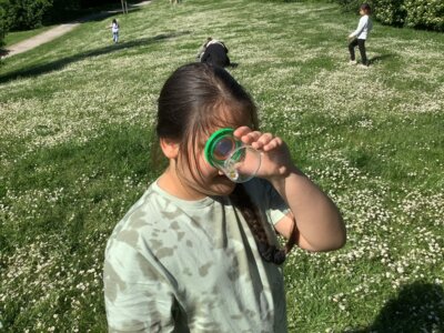 Wir betrachten unseren Wiesenschatz genau &hellip;  (Bild vergr&ouml;&szlig;ern)