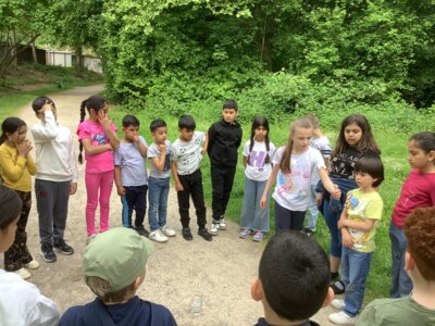 Versuche mit der Pusteblumen bringen uns zum Stauenen.  (Bild vergr&ouml;&szlig;ern)