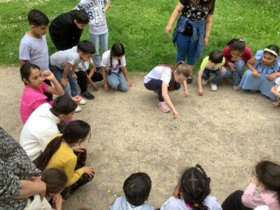 Foto des Albums: Projektwoche 2025