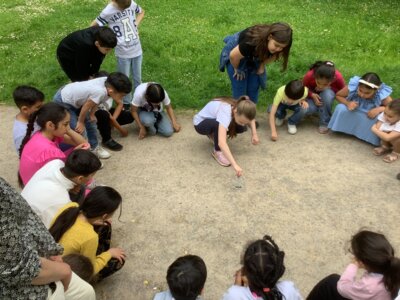 Foto des Albums: Projektwoche 2025