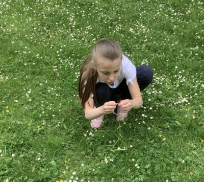 Foto des Albums: Projektwoche 2025