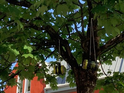 Hotel gefunden?  (Bild vergr&ouml;&szlig;ern)