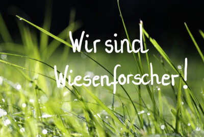 Die Igelklasse hatte das Thema &sbquo;Wir erforschen die Wiese.&lsquo;  (Bild vergr&ouml;&szlig;ern)