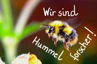 Foto des Albums: Projektwoche 2025