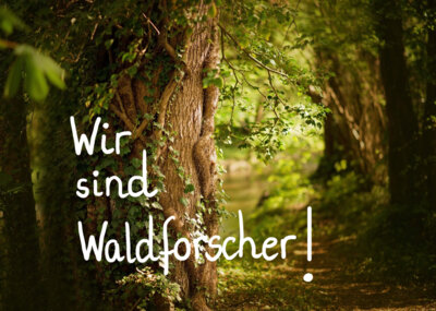 Foto des Albums: Projektwoche 2025