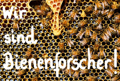 Foto des Albums: Projektwoche 2025