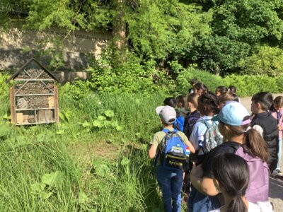 So ein gro&szlig;es Insektenhotel.  (Bild vergr&ouml;&szlig;ern)