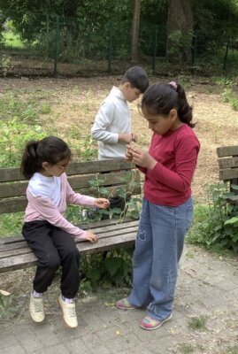 Foto des Albums: Projektwoche 2025