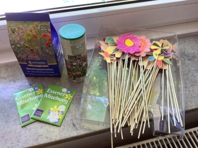 In unseren Beeten haben wir Wildblumen ges&auml;t. Bis sie bl&uuml;hen haben unsere Blumensticker die Beete versch&ouml;nert.  (Bild vergr&ouml;&szlig;ern)