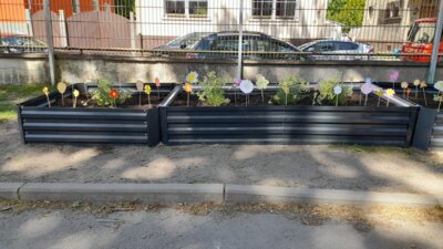 &hellip;bis es dann SO aussieht. 💪🏼 Bienen- und Hummelforscher erfolgreich!  (Bild vergr&ouml;&szlig;ern)