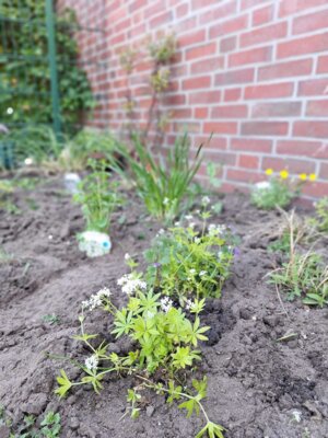 LF Uplengen - Kindertagesst&auml;tte in J&uuml;bberde  (Bild vergr&ouml;&szlig;ern)