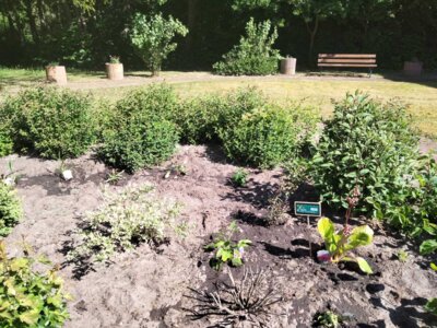 Landfrauen Stapelmoor - Altenzentrum Weener  (Bild vergr&ouml;&szlig;ern)