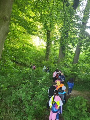 Foto des Albums: RUZ Naturerfahrung 1a,1b 2025