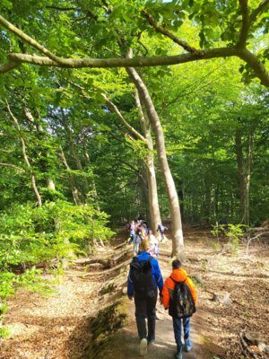 Foto des Albums: RUZ Naturerfahrung 1a,1b 2025