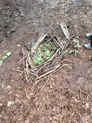Foto des Albums: RUZ Naturerfahrung 1a,1b 2025