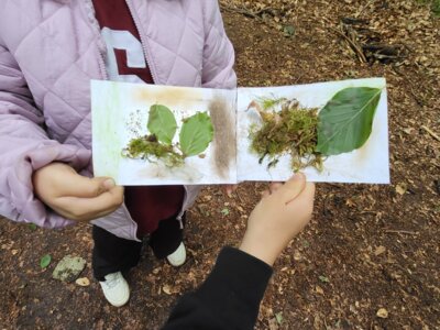 Foto des Albums: RUZ Naturerfahrung 1a,1b 2025