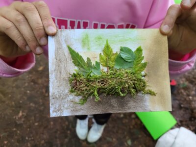 Foto des Albums: RUZ Naturerfahrung 1a,1b 2025