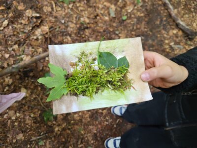Foto des Albums: RUZ Naturerfahrung 1a,1b 2025