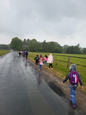 Foto des Albums: RUZ Naturerfahrung 1a,1b 2025