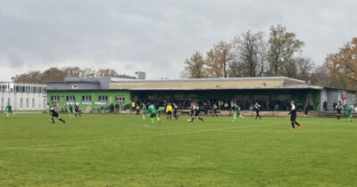 Foto des Albums: Spielbericht 17.11.2024, 14:00 Uhr