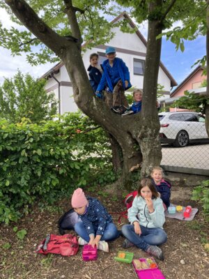 Foto des Albums: Frühlingswanderung Klasse 1 2025