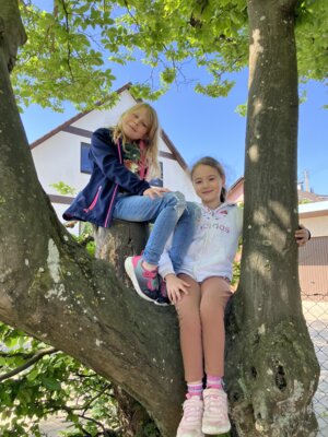Foto des Albums: Frühlingswanderung Klasse 1 2025