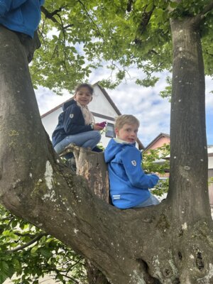 Foto des Albums: Frühlingswanderung Klasse 1 2025