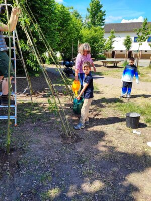 Foto des Albums: Weiden-Tipi