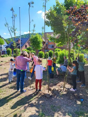 Foto des Albums: Weiden-Tipi