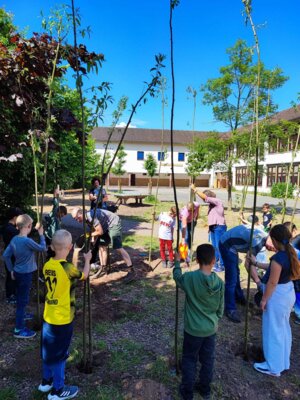 Foto des Albums: Weiden-Tipi