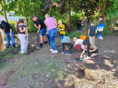 Foto des Albums: Weiden-Tipi