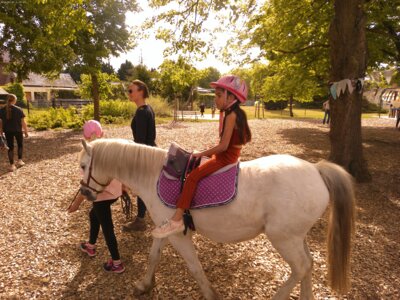 Immer im Kreis herum, das könnte ich den ganzen Nachmittag tun.  (Bild vergrößern)