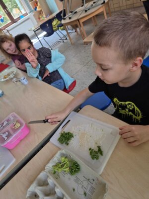 Foto des Albums: AG Frau Klajbor April/Mai