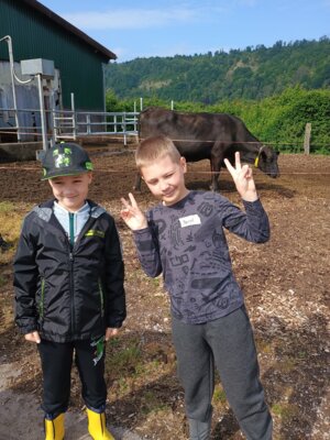Foto des Albums: Ausflug zum Bauernhof Borchers 3a