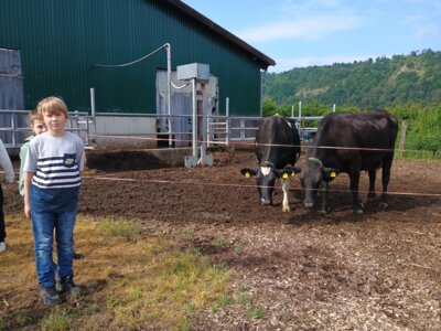 Foto des Albums: Ausflug zum Bauernhof Borchers 3a