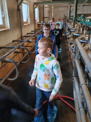 Foto des Albums: Ausflug zum Bauernhof Borchers 3a