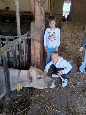 Foto des Albums: Ausflug zum Bauernhof Borchers 3a
