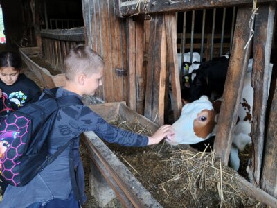 Foto des Albums: Ausflug zum Bauernhof Borchers 3a