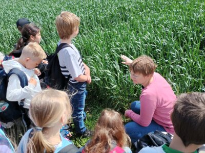 Foto des Albums: Ausflug zum Bauernhof Borchers 3a