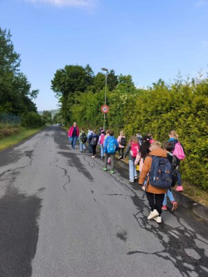 Foto des Albums: Ausflug zum Bauernhof Borchers 3a