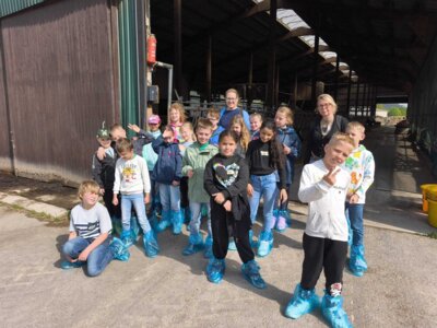 Foto des Albums: Ausflug zum Bauernhof Borchers 3a