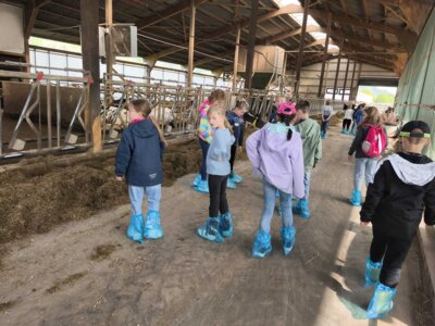 Foto des Albums: Ausflug zum Bauernhof Borchers 3a