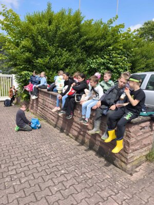 Foto des Albums: Ausflug zum Bauernhof Borchers 3a
