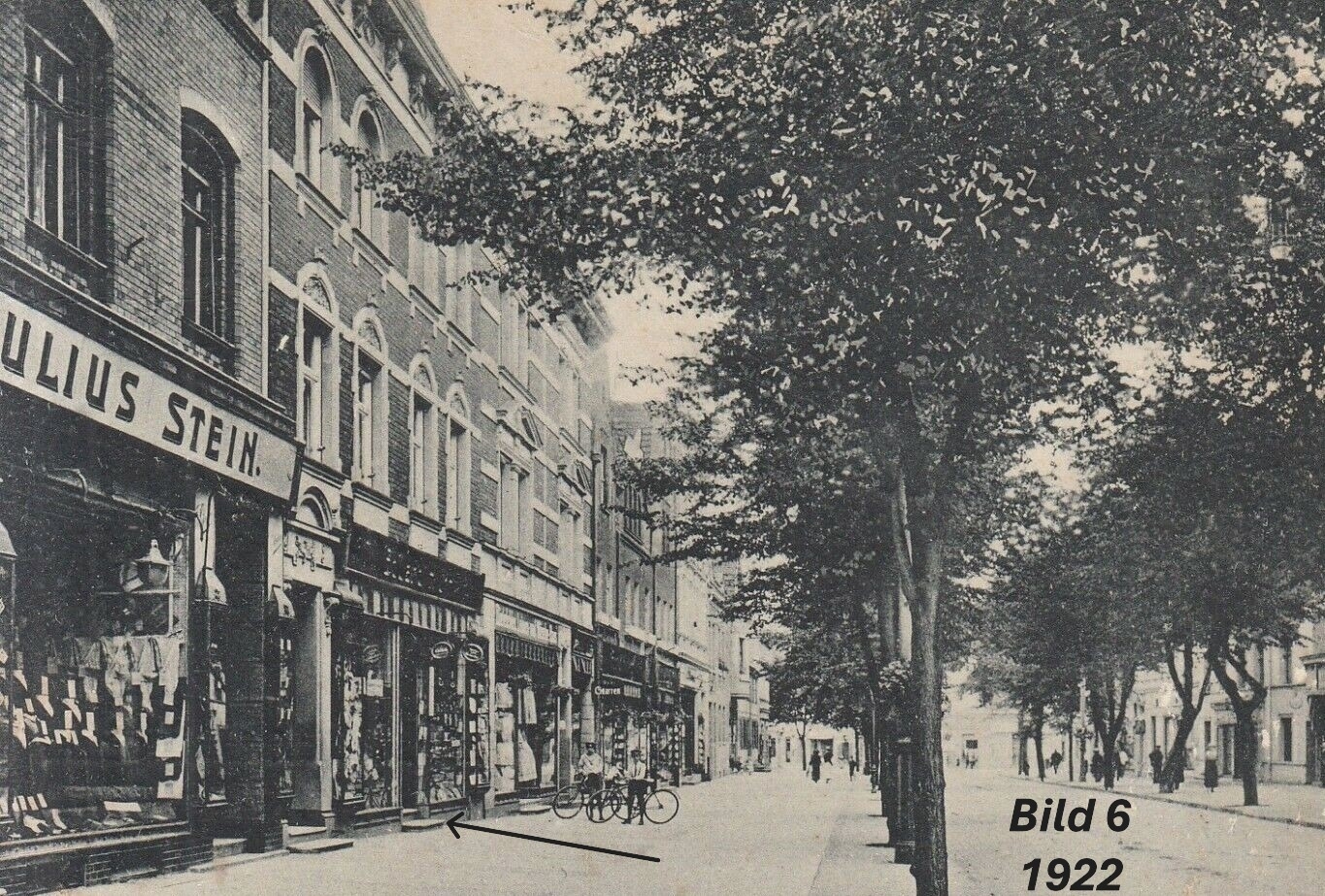 Bild der Galerie