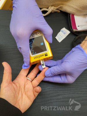 Foto des Albums: Festveranstaltung zur 31. Brandenburgischen Seniorenwoche