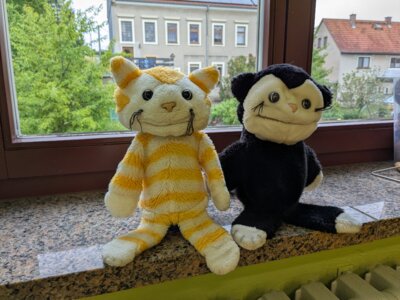 Foto des Albums: Schulluft schnuppern