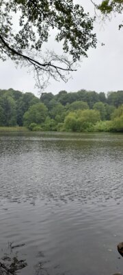 Foto des Albums: 2025-05-27_Bordesholmer_See