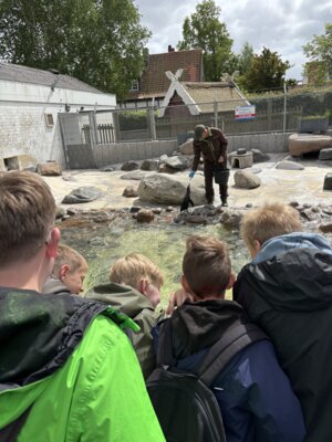 Foto des Albums: Klassenfahrt nach Cuxhaven
