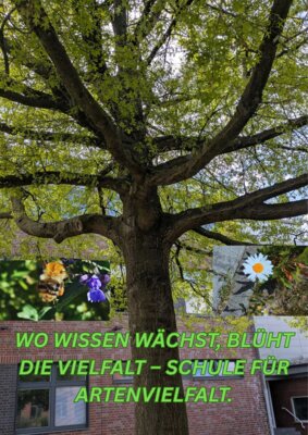 Foto des Albums: Artenvielfalt auf unserem Schulgelände: Ein Projekt der 10a und der 10b